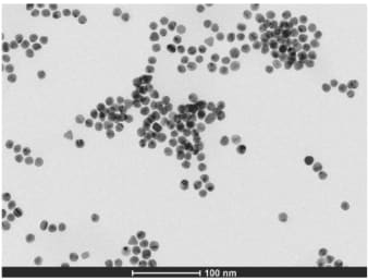 Gold nanoparticles under a transmission electron microscope: dark, rounded dots, alone and in clusters.